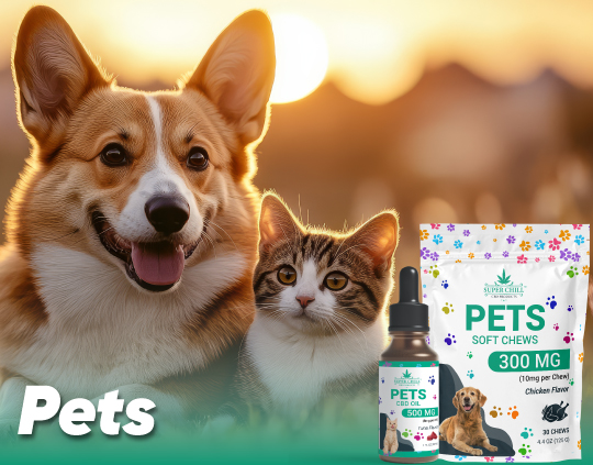 Pets